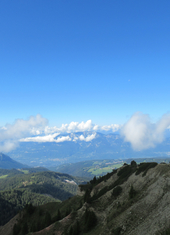 © 2025 Oberlehenhof