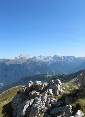 © 2025 Oberlehenhof