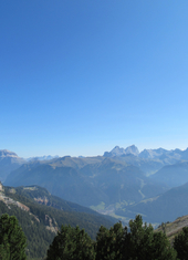 © 2025 Oberlehenhof