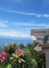 © 2025 Oberlehenhof