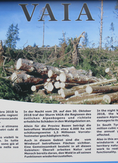 © 2025 Oberlehenhof