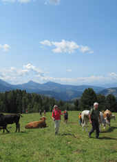 © 2025 Oberlehenhof