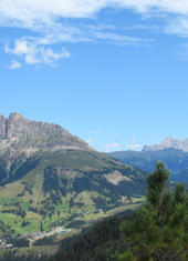 © 2025 Oberlehenhof