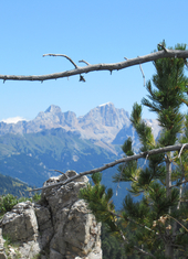 © 2025 Oberlehenhof