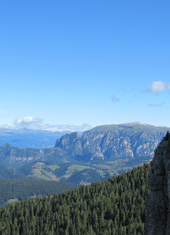 © 2025 Oberlehenhof