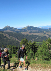 © 2025 Oberlehenhof