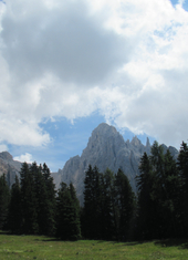 © 2025 Oberlehenhof