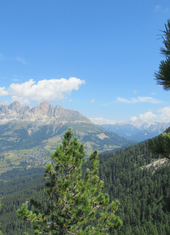 © 2025 Oberlehenhof