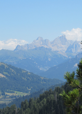 © 2025 Oberlehenhof