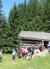 © 2025 Oberlehenhof